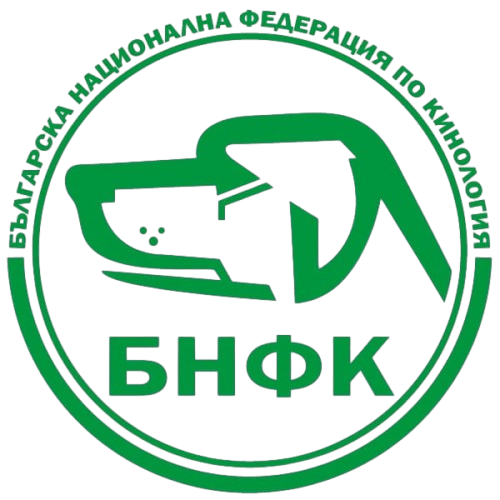 БРФК Logo